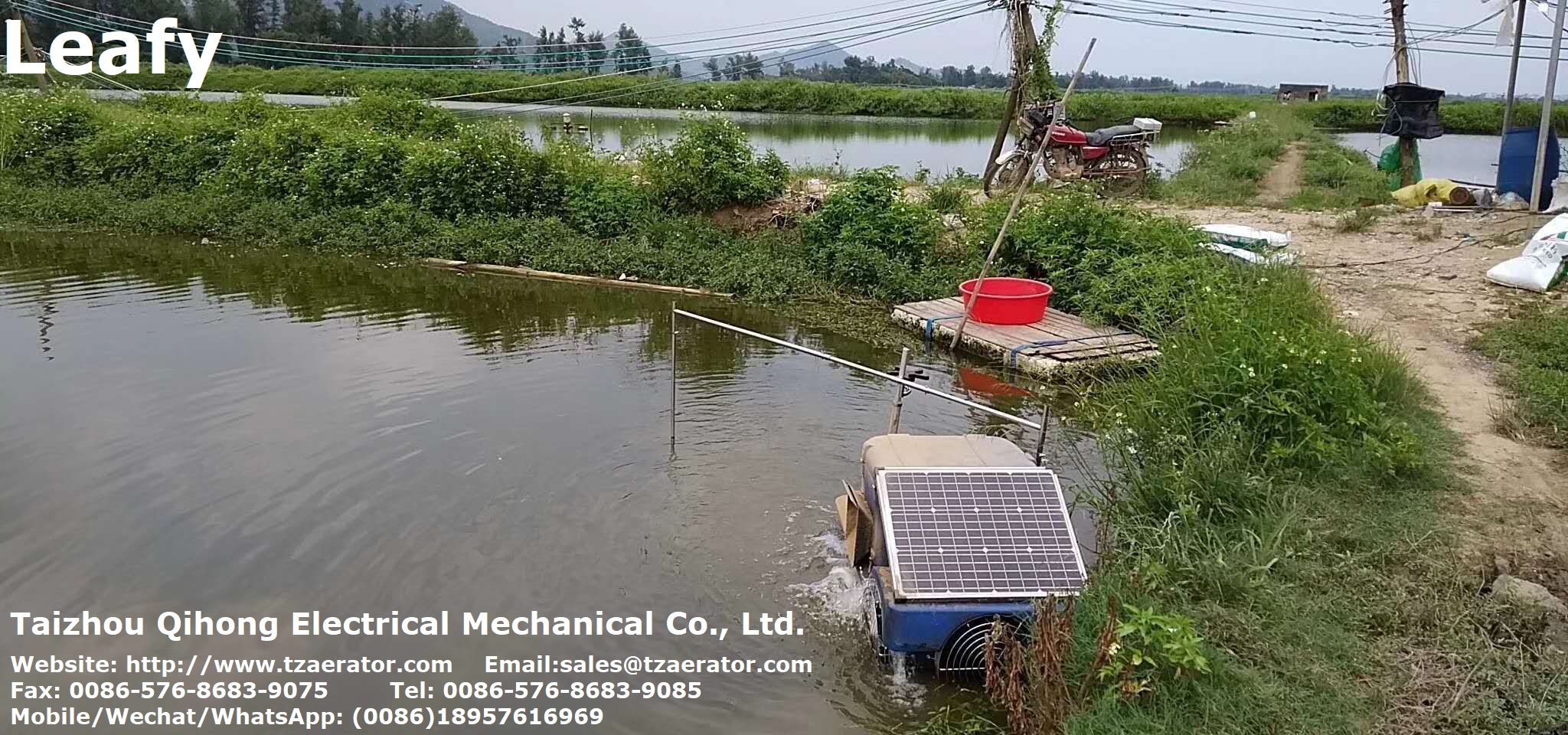 Solar type Auto shrimp feeder in pond